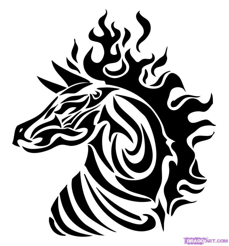 736x790 43 Best Animal Tattoo Drawings Images Animal