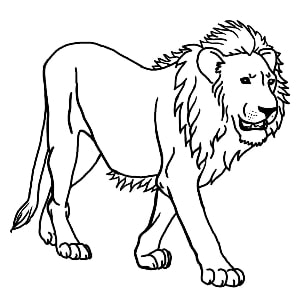 300x300 Outline And Coloring Pictures For Small Kids