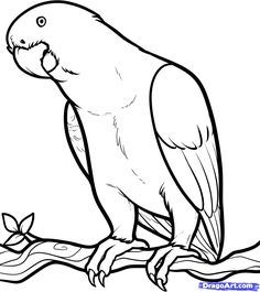 236x265 Parrot Outline By Hamdhan24 Faith Outlines
