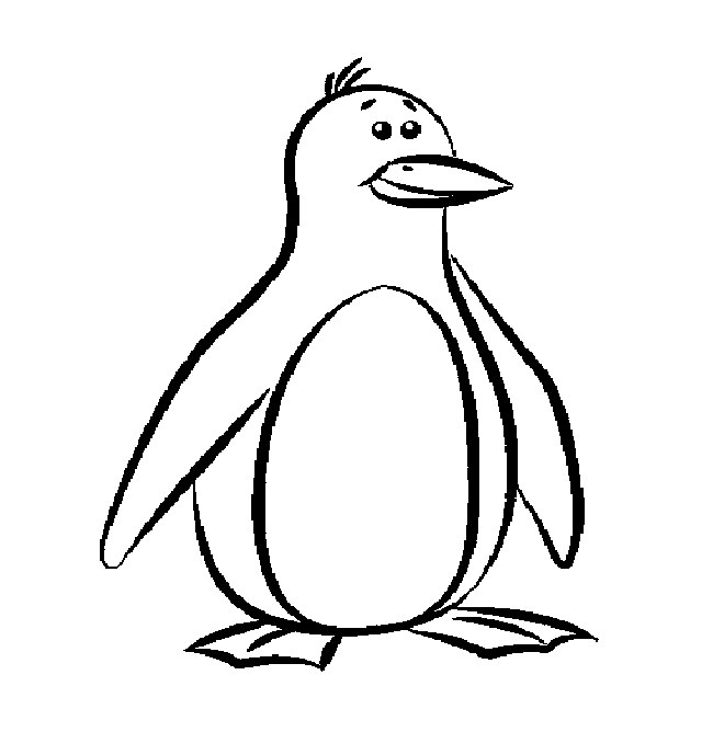 650x668 Penguin Template
