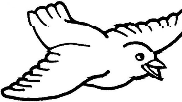 585x329 Articles With Outline Birds Of Prey Tag A Bird We Are All