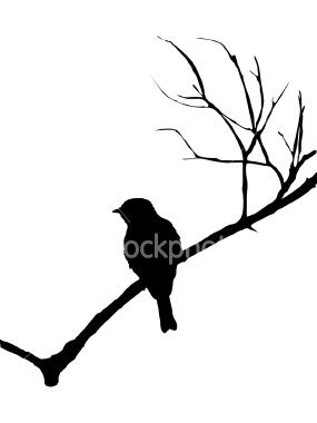 285x380 Best Bird Outline Ideas Bird Patterns, Photo