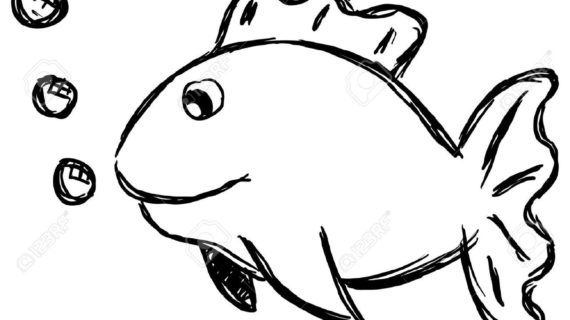 570x320 Outline Drawing Of A Fish Best Ideas About Fish Drawings