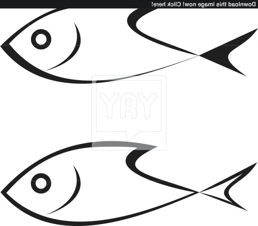 878x767 Simple Drawing Of Fish All New How To Draw Food A 25 Fascinating