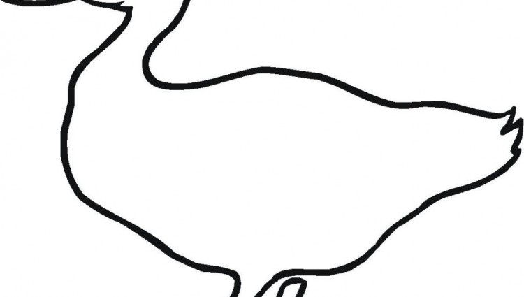 750x425 Duck Outline Clipart