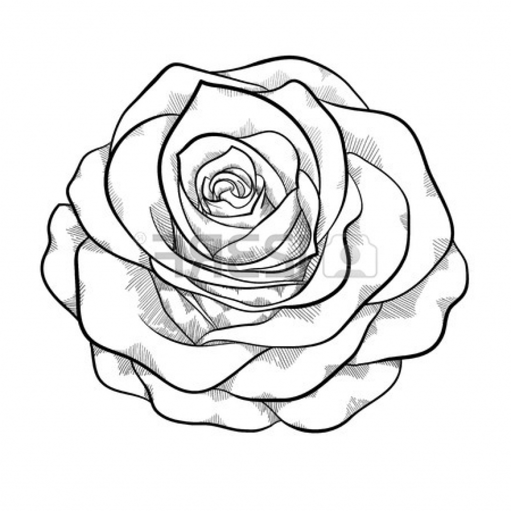 1024x1024 Rose Drawing Outlines Best Rose Outline 5780 Clipartion
