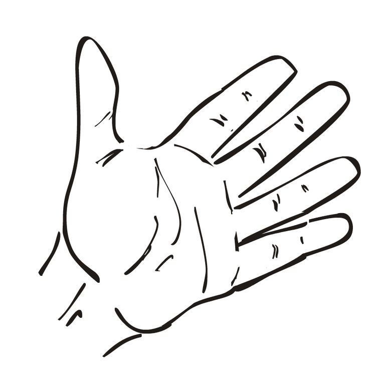 736x736 Handprint Outline Clip Art