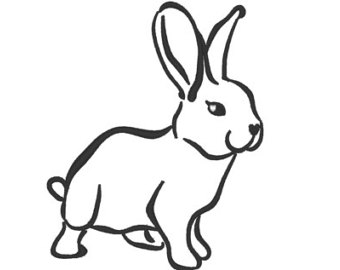 340x270 Bunny Outline Etsy