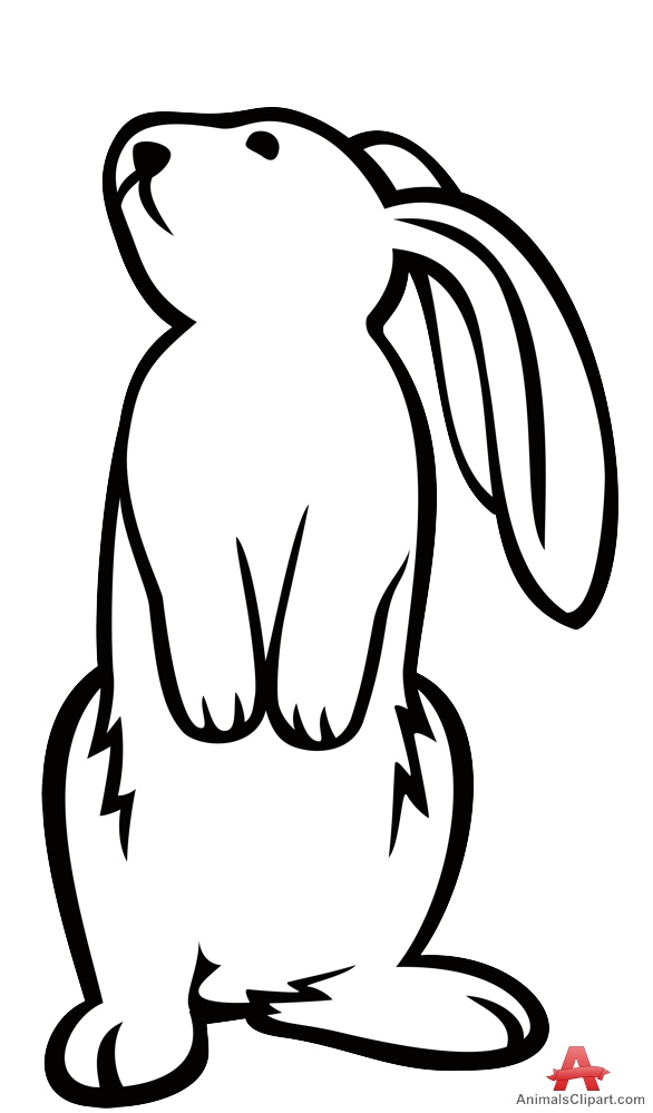 586x999 Standing Rabbit Outline Contour Drawing Free Clipart Design Download