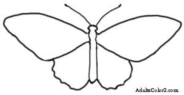 600x310 Butterfly Outline Or Silhouette Basic Shapes 3