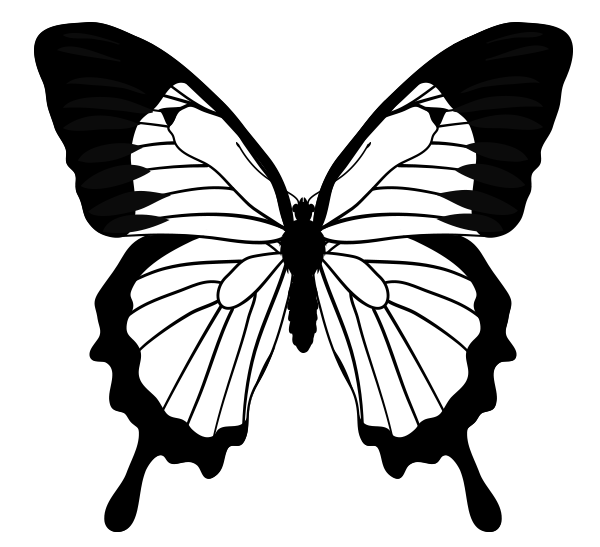 600x547 Monarch Butterfly Clipart Template