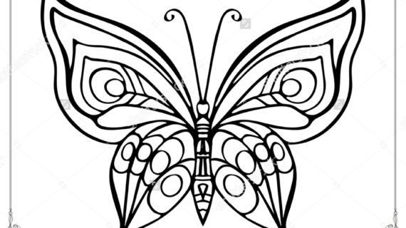 570x320 Outline Drawing Of Butterfly Butterfly Outline Clipart Clipart