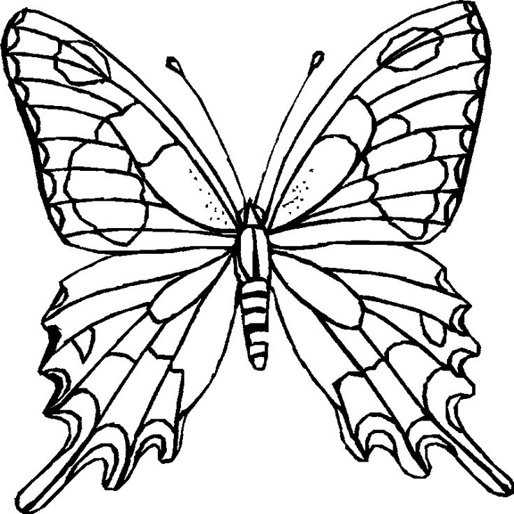 736x737 Best Printable Butterfly Ideas Butterfly