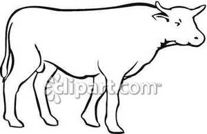 300x194 Cow Outline