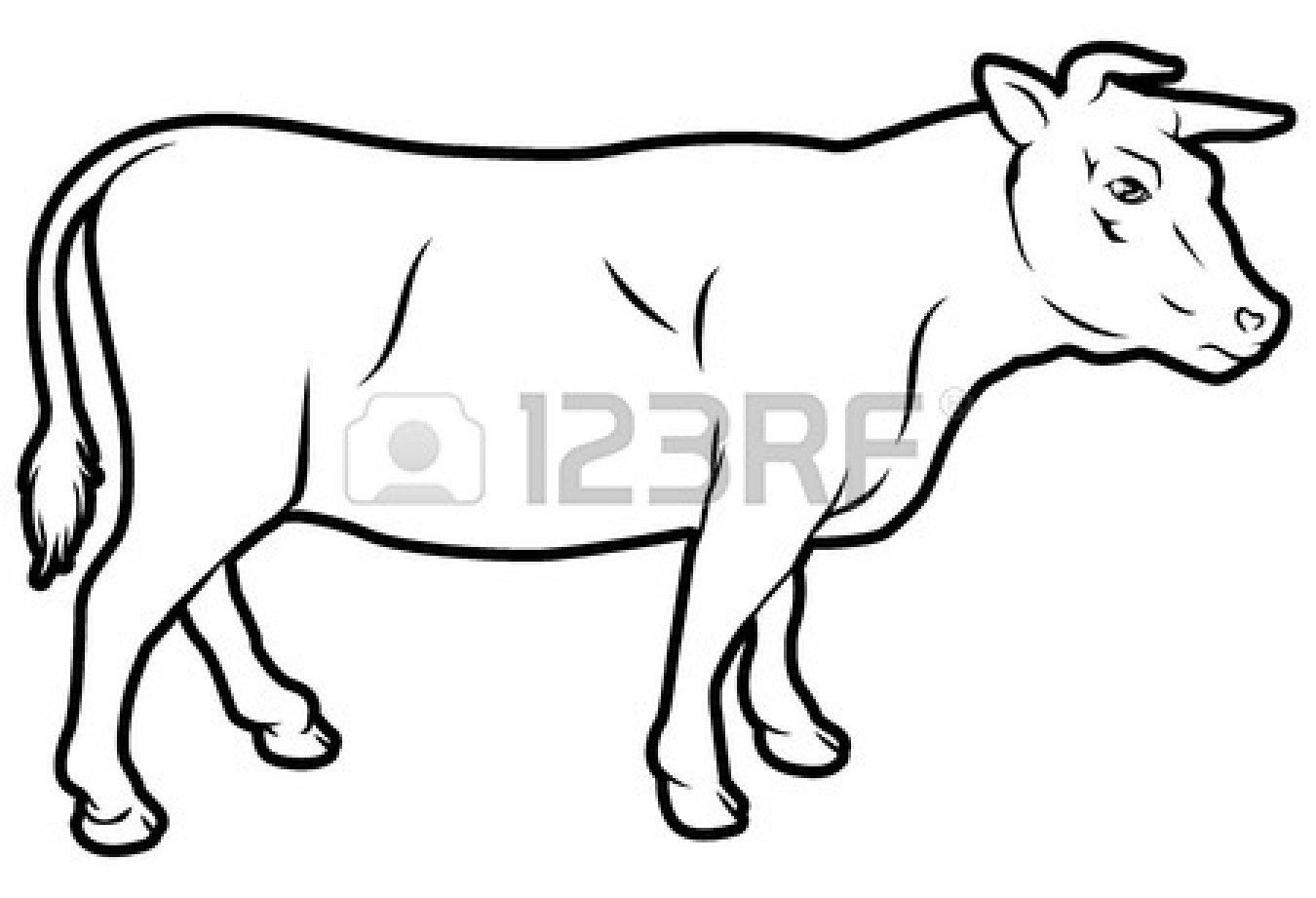1350x921 Drawn Cow Beef Cow
