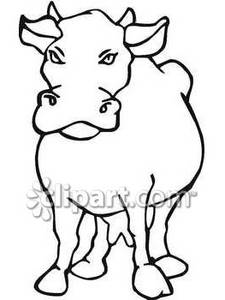 225x300 Of An Angry Cow