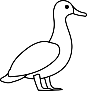 285x299 Duck Outline Clip Art
