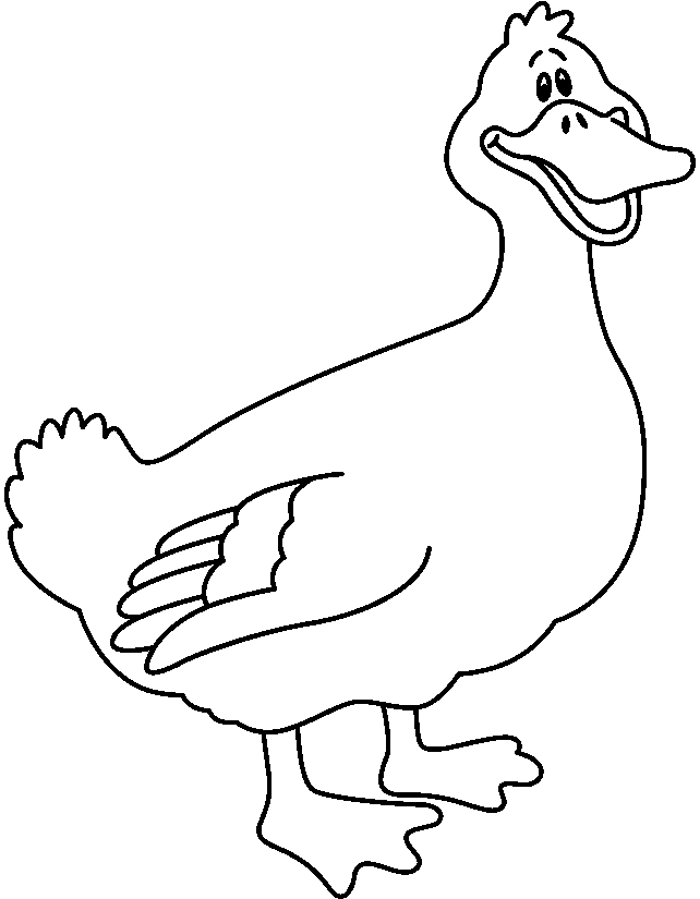 642x825 Outline Of Duck Many Interesting Cliparts