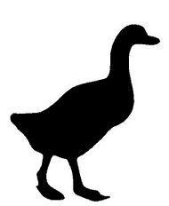 190x232 The Best Duck Outline Ideas Tekenen, Outline
