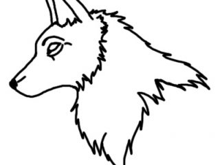 320x240 Wolf Face Outline Outline Of Wolf Face Clipart Library Clip Art