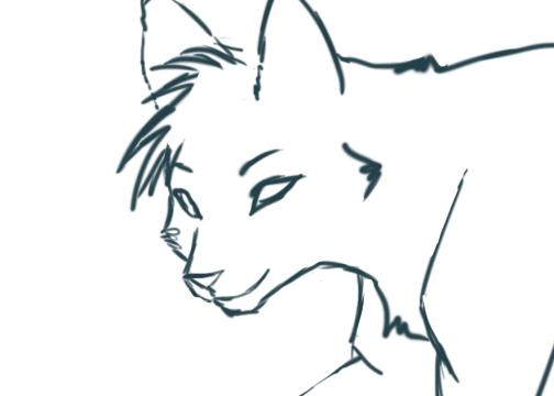 504x360 Cat Face Outline Clipart