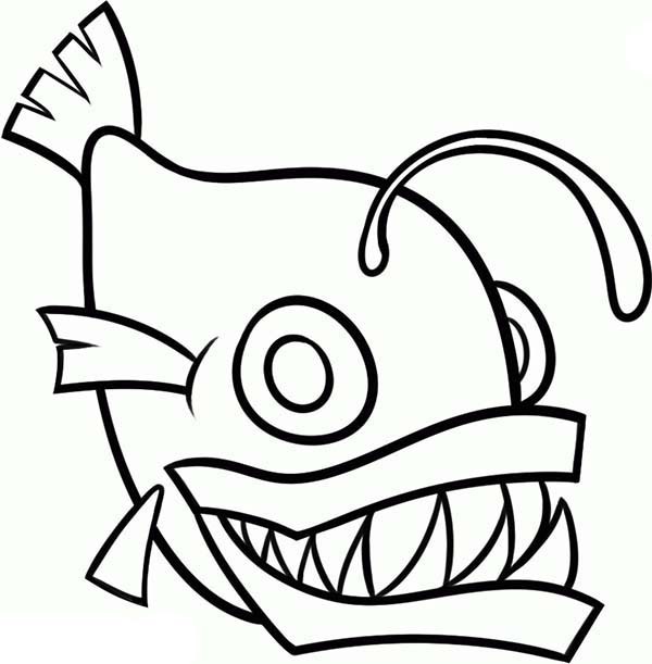 600x611 Angler Fish Outline Coloring Pages Best Place To Color