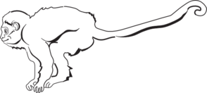 294x132 Landing Monkey Outline Clip Art