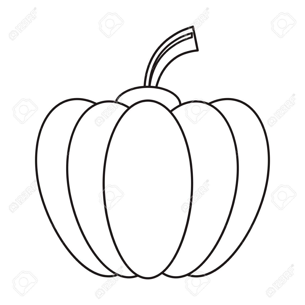 1300x1300 Outline Pumpkin Harvest Bittersweet Vegetable Icon Vector