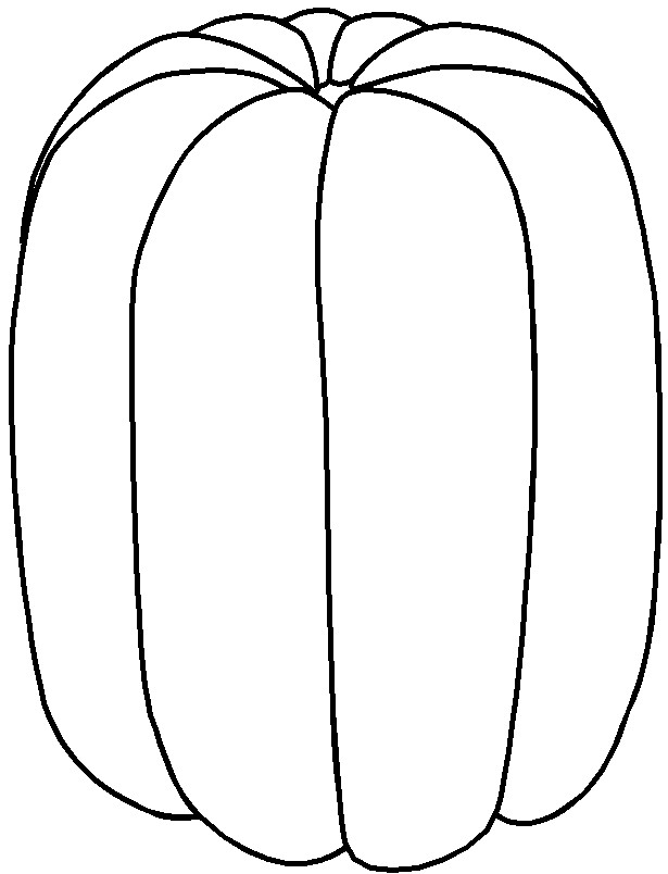 615x804 Squash Clipart Pumpkin Outline