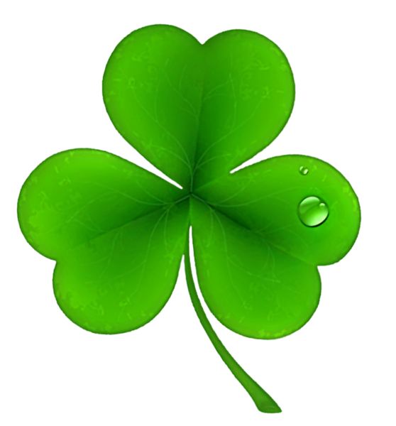 558x600 The Best Shamrock Clipart Ideas Happy St