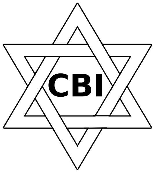 528x596 Outline 3 D Star Of David Clip Art