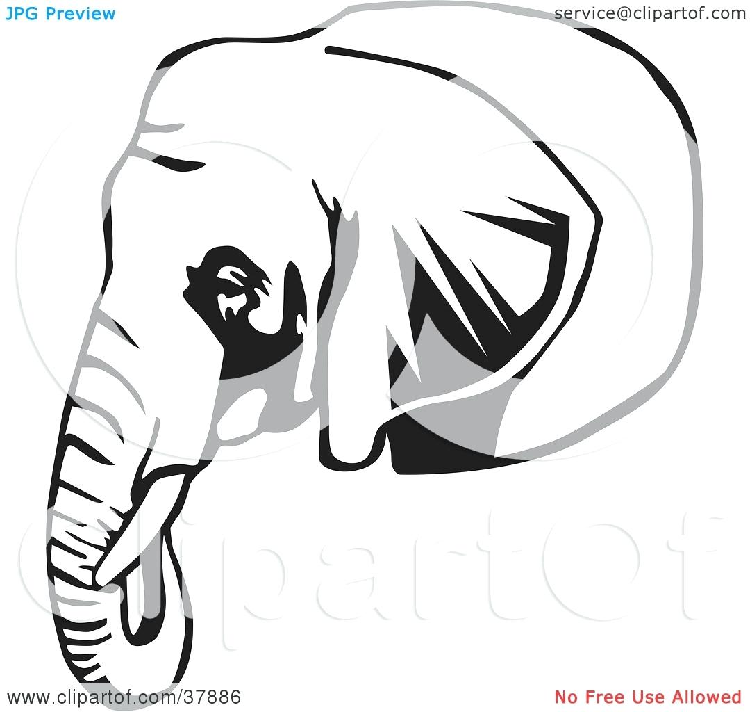 1080x1024 Elephant Outline 69 Interesting Face Clipart Elephant Head Outline