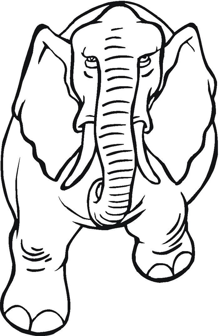700x1071 Elephant Template