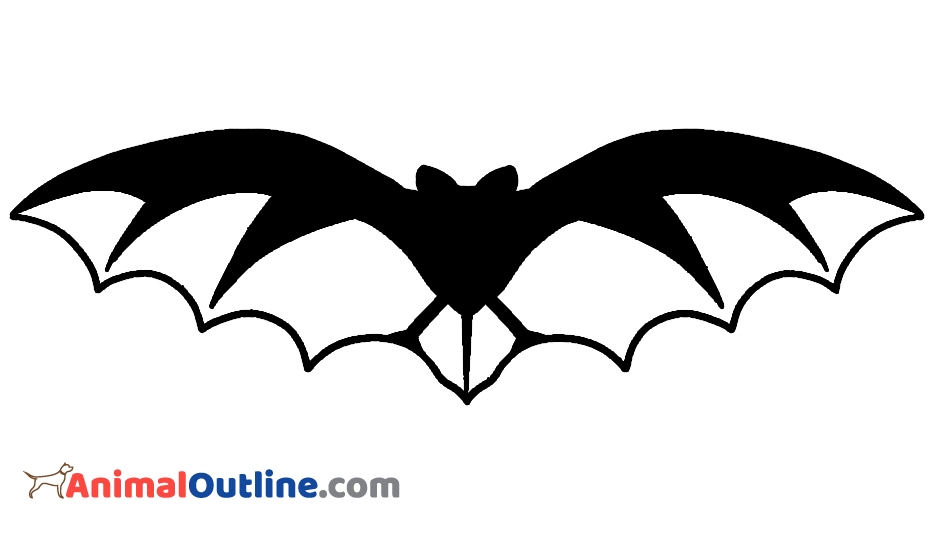 934x534 Bat Animal Outline Pictures, Images, Clip Art