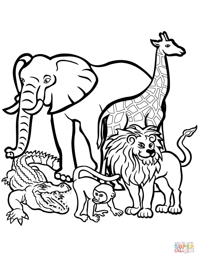 687x889 Coloring Outline Of Animals For Colouring Coloring Pictures