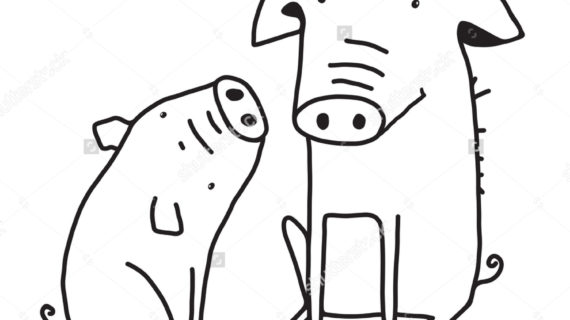 570x320 Outline Drawing Of Animals Animal Outline Drawings Elephant