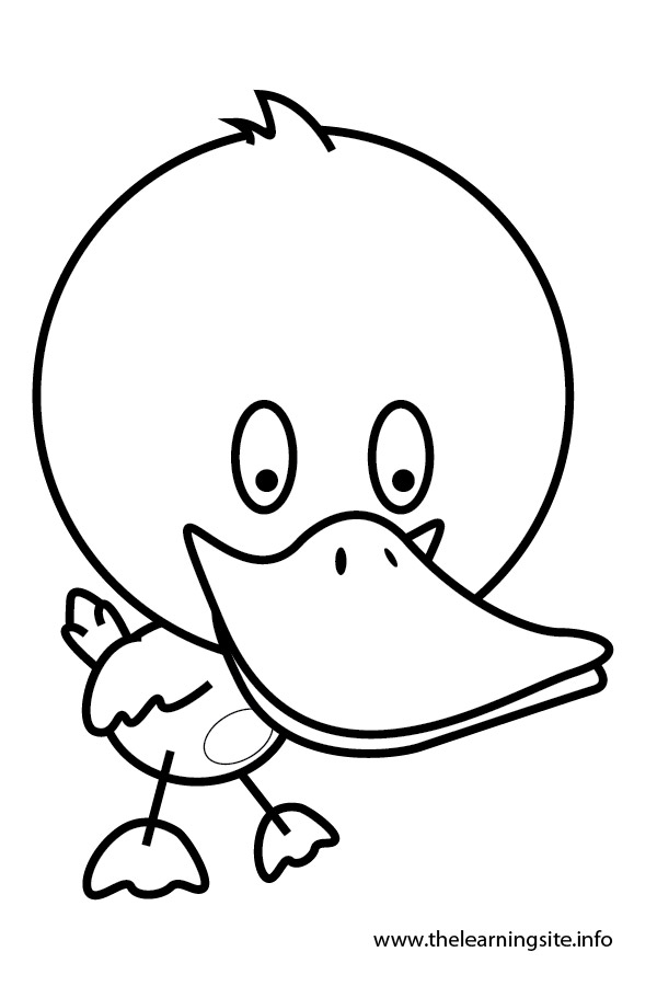 600x900 Outline Of Duck