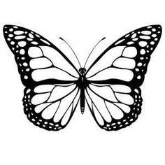 236x236 How To Draw Butterfly How To Draw