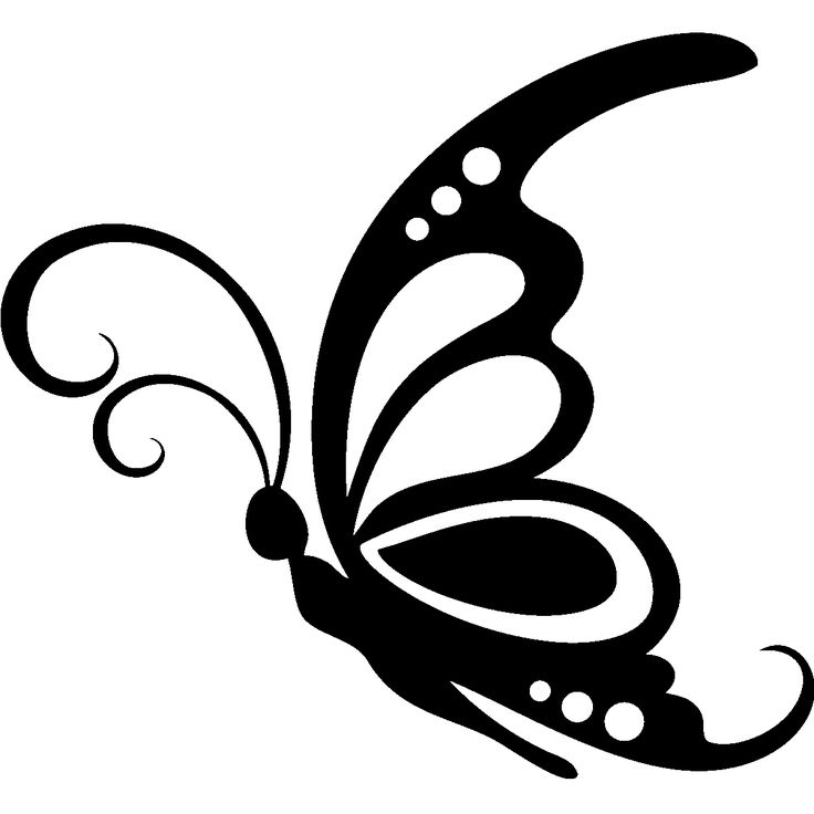 736x736 Papillon Clipart Cute Butterfly Outline