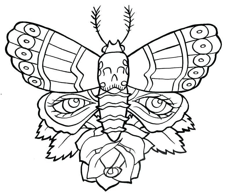 776x665 Outline Butterfly Tattoos