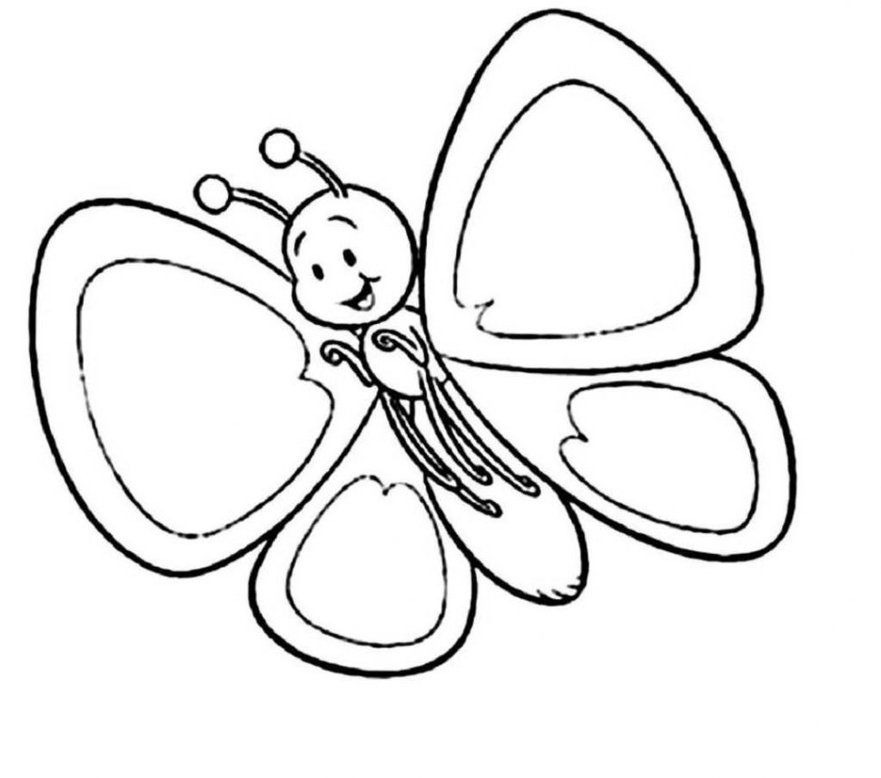 970x857 Animal Butterfly Outline Printable Colouring Books For Free