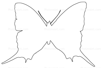 418x279 Best Butterfly Outline