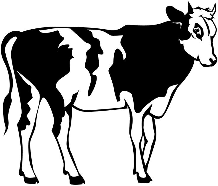 736x629 Cattle Clipart Indian Cow