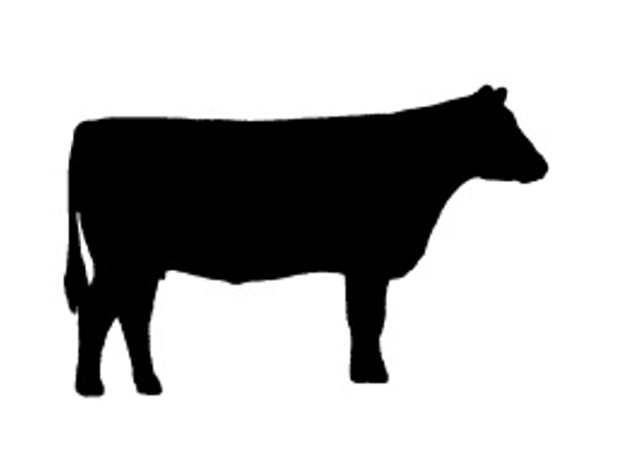 2048x1536 Cow Clipart Silhouette