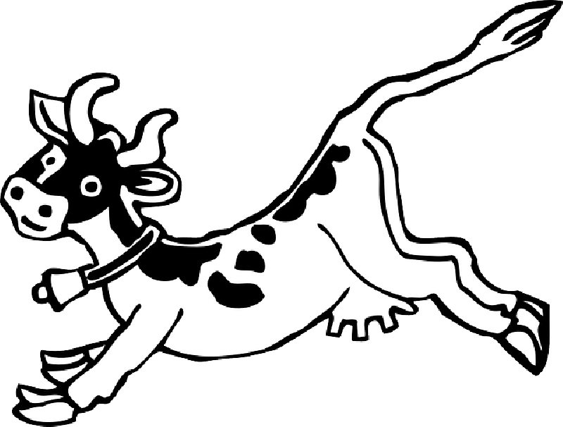 800x606 Cow, Milk, Farm, Animal, Olxen, Black, Outline, White
