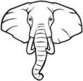 120x117 Elephant Face Clip Art Clipart Panda
