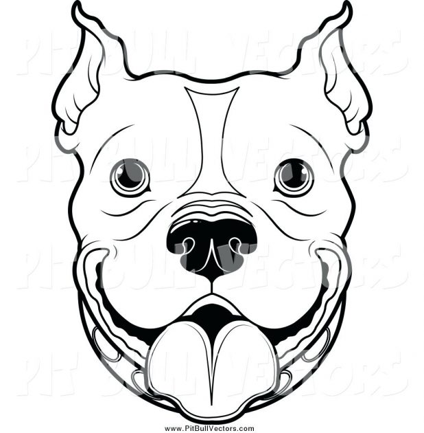 618x630 Coloring Astounding Dog Face Outline. Dog Head Silhouette Vector