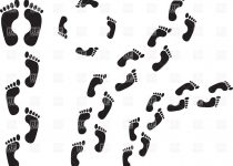 210x150 Clip Art Clip Art Footprint