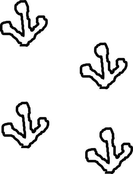 456x597 Frog Footprints Clip Art