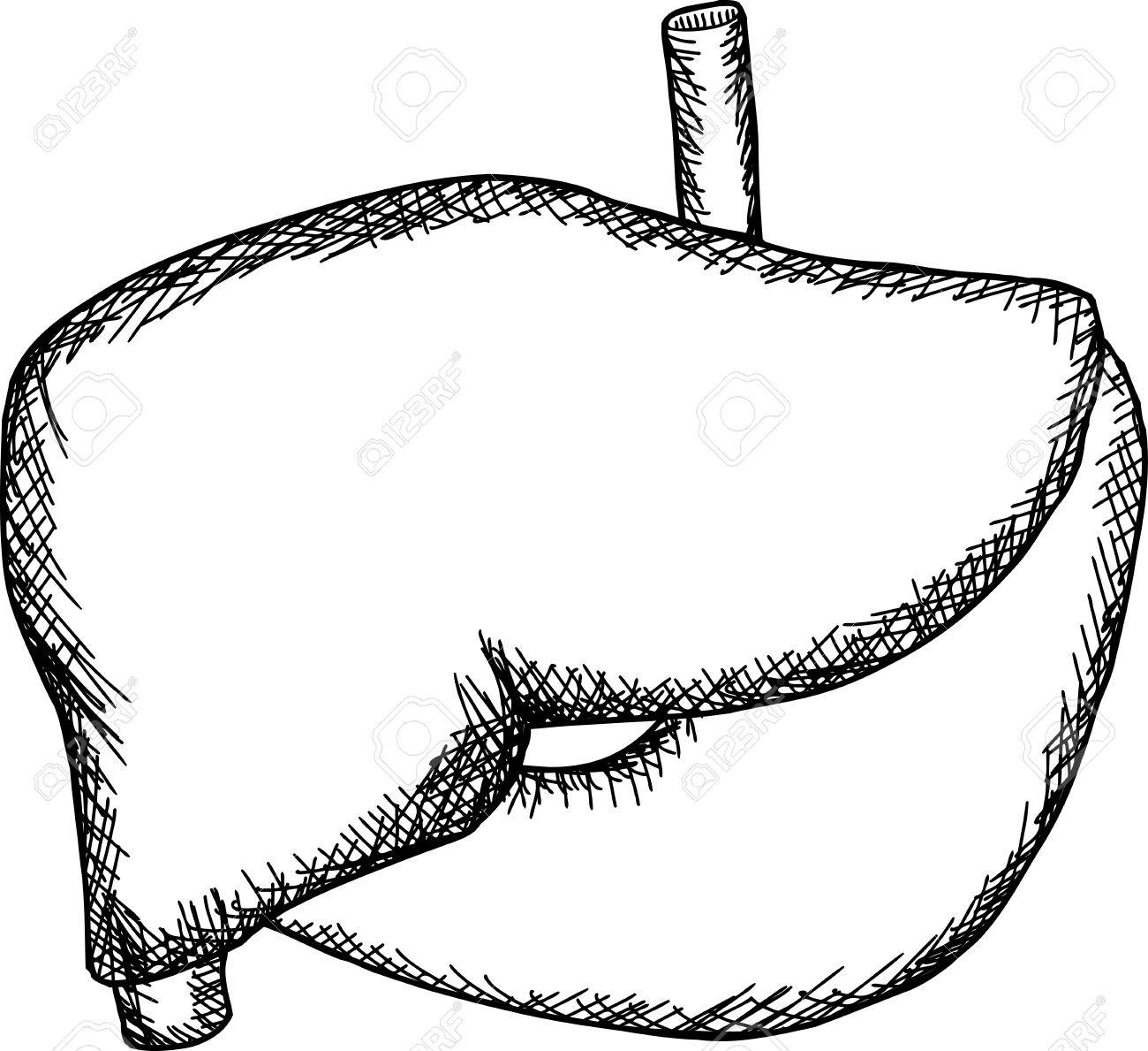 1300x1189 Hand Drawn Black Outline Of Stomach And Liver Royalty Free